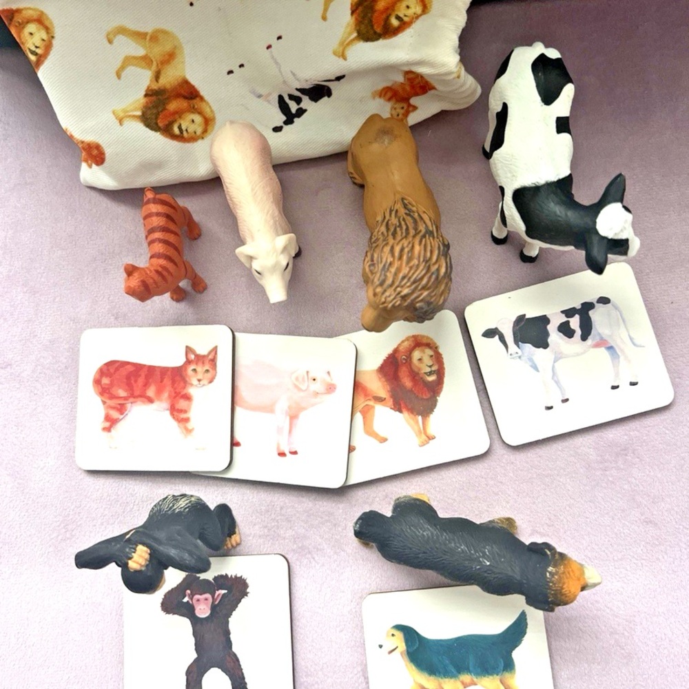 LOVEVERY Animal Figurines and Cards Match Set